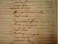 Ruffinu Family Nule 1791.JPG