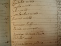 Ruffinu Family Nule 1792.JPG